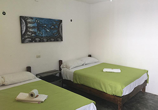 Estudio de caso Emotion Tulum Hotel & Hostal MÃ©xico