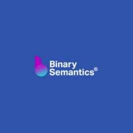binary-semantics-E-invoicing
