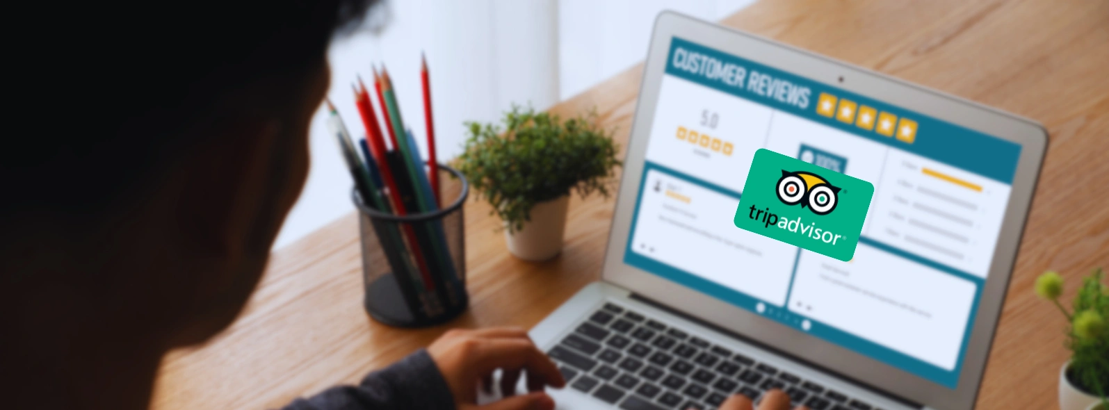 How To Maximize Reviews On TripAdvisor