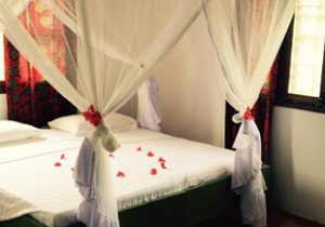 case-study-zanzibar-img-2